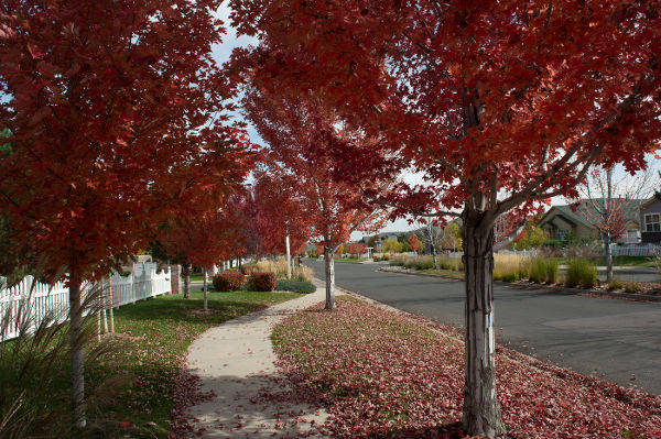 Landscaping at Senior Living Apartments in Denver, CO